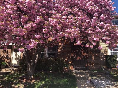 8345 Brockham Dr, Alexandria, VA, 22309