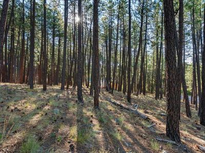 465 Deer Ridge Drive, Bayfield, CO, 81122