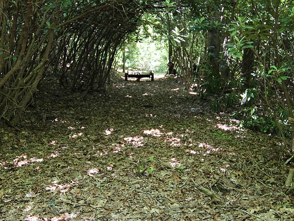 5th image of 363 Doe Mountain Private Ln