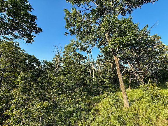 2nd image of TRACT 4 Shady Grove Rd