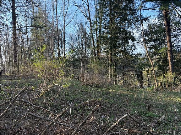 4th image of 0 Pit Rd Lot 22