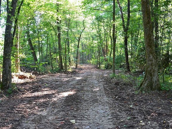 4th image of 9330 Old Highway 13 Lot Wp003
