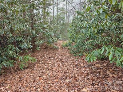 0 Barking Dog Ln, Burnsville, NC, 28714