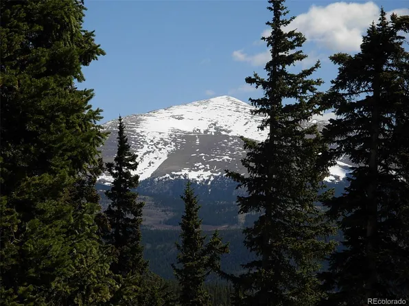 306 GRIZZLY Drive LOT 728, Fairplay, CO 80440