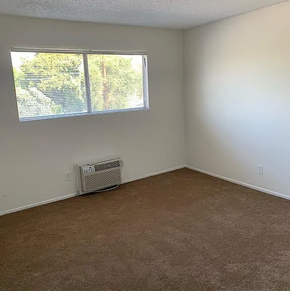Bellingham Apartments — Photo 5