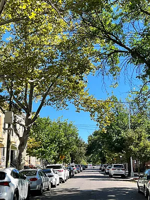 Rented by Coldwell Banker Kueber Realty | media 13