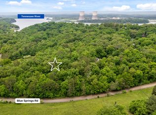 9783 Blue Springs Rd, Harrison, TN 37341