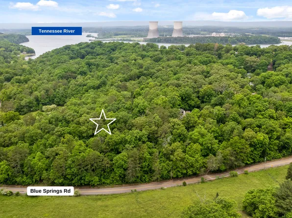 9783 Blue Springs Rd, Harrison, TN 37341