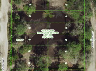 Atlee St LOT 11, New Pt Richey, FL 34654