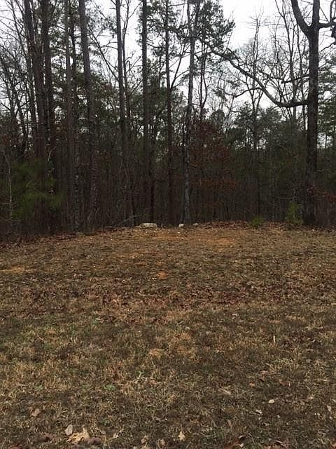 1st image of 40 Branson Mill Dr