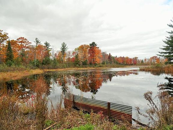 5th image of 3.6 Acres Hardacre Trl