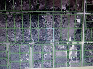 2800 W Dawson Rd, Avon Park, FL 33825