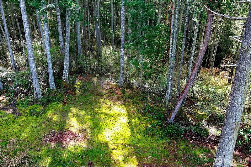 2nd image of 87 Conifer Lane