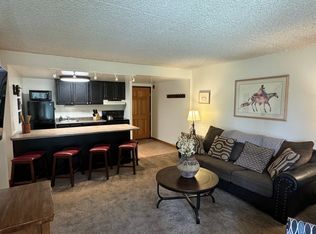 455 Village Rd APT 106, Breckenridge, CO 80424