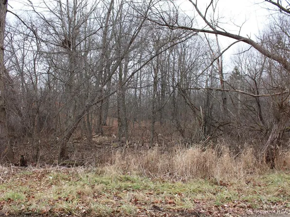 0 Orban Rd Parcel 1, Grass Lake, MI 49240