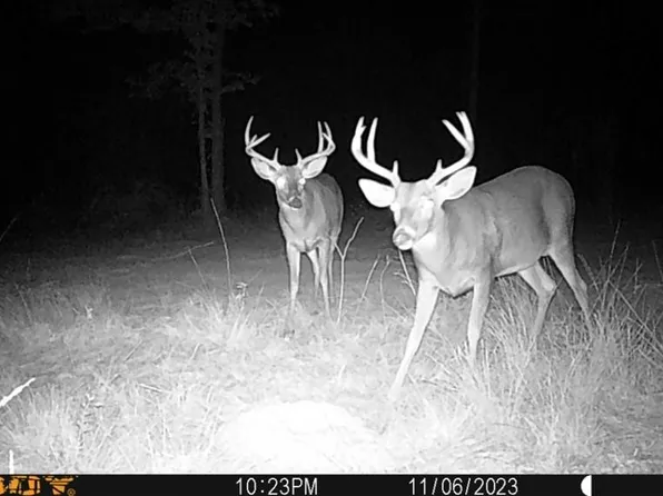 McMillan Rd, Osyka, MS 39657