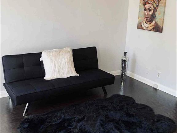 Living Room with convertible sofa