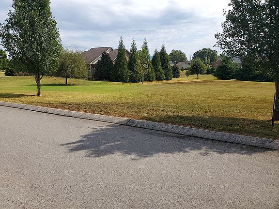 4th image of 517 Golden Rose Dr