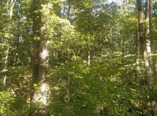 1099 State Route 108, Gruetli Laager, TN 37339
