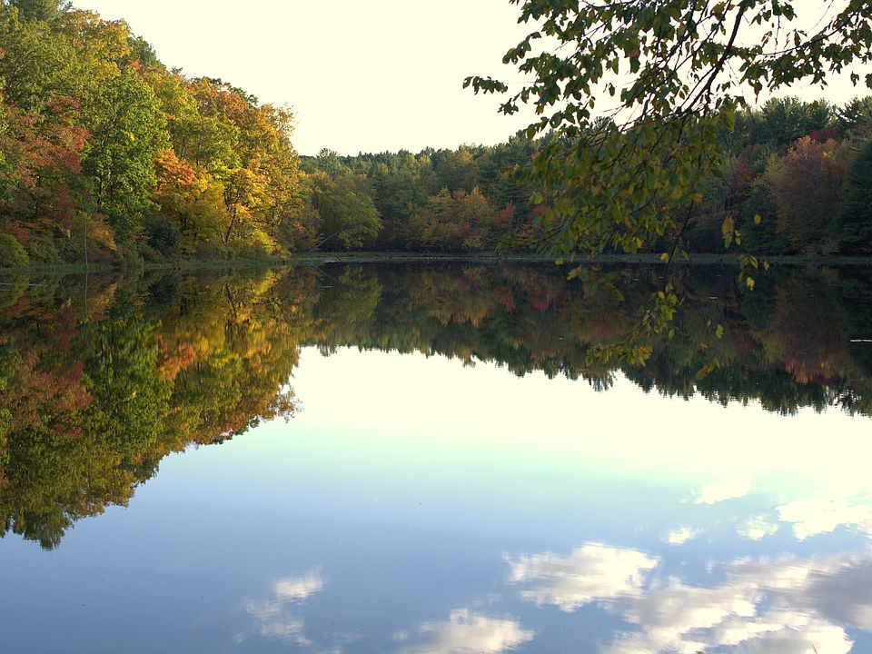 1st image of 49.5 Paradise Hill Road