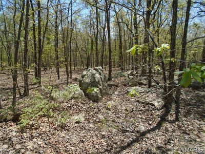 0 Whitetail Glen Trl, Ironton, MO, 63650