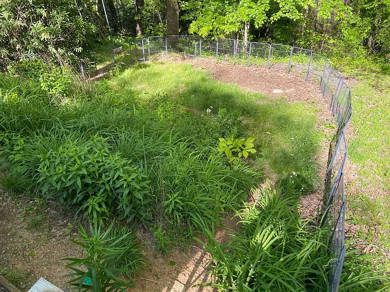 13 Wood Robin Ln — Photo 4