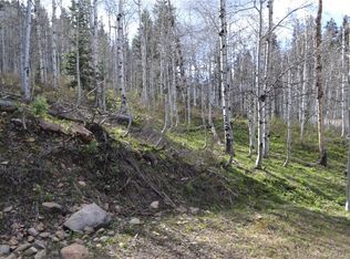 1667 W Tollgate Canyon Rd #74, Coalville, UT 84017