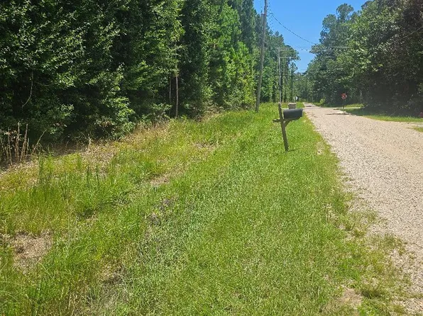 LOT 170 Bisbee St, Lumberton, MS 39455