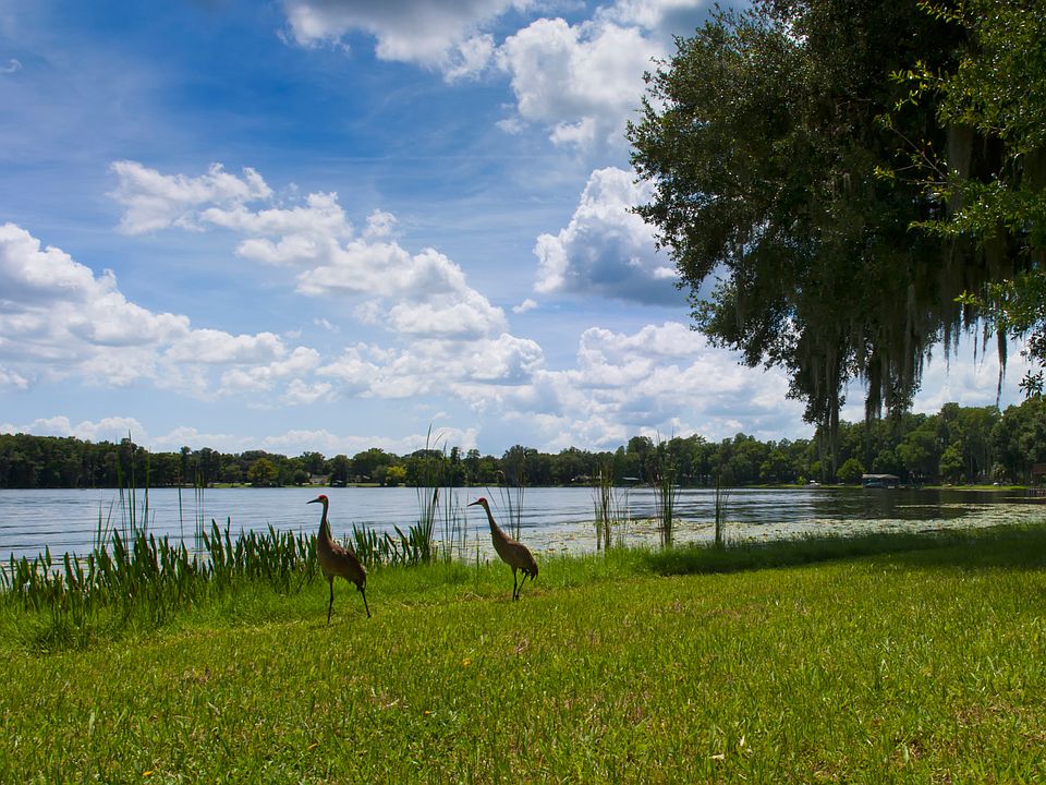15419 Lake Magdalene Blvd, Tampa, FL 33613 Zillow