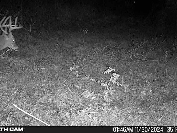 3rd image of 34 Aycock Rd Lot 6
