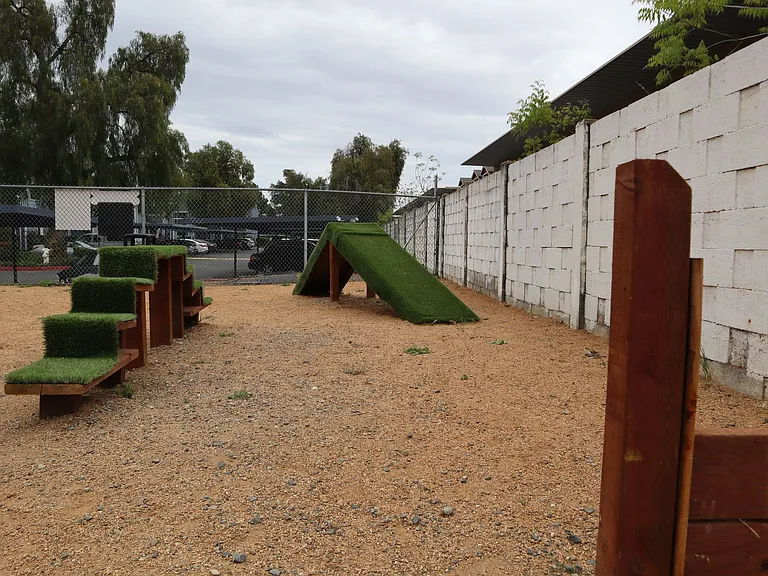 Mosaic Apartments — Photo 11