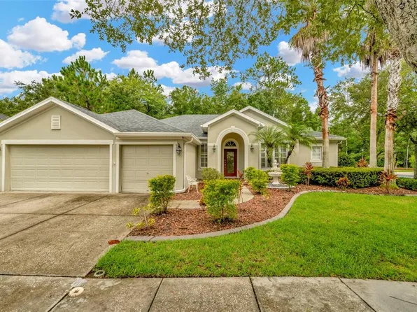 16141 Colchester Palms Dr, Tampa, FL 33647