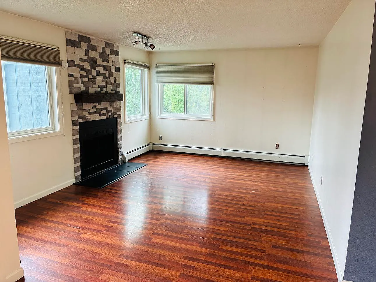3 bed, 1005 sqft, $1,950 — Photo 4