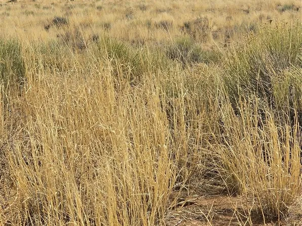 Lot 17 E Denver Rd., Blanca, CO 81123