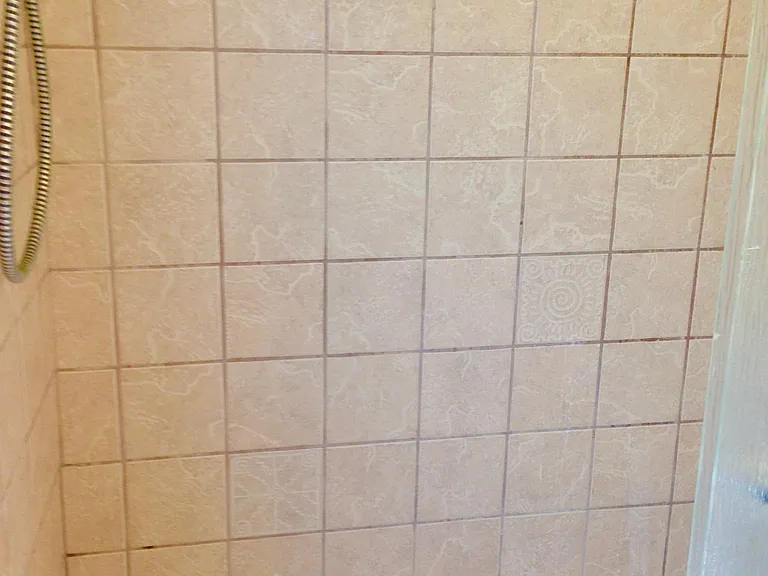 tub and shower hall bathroom