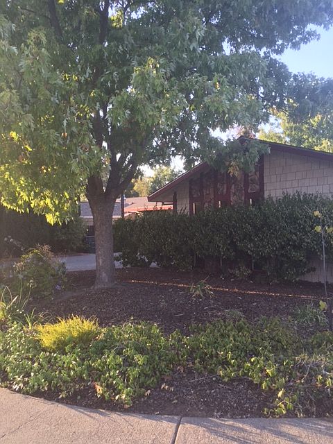 1st image of 4100 Paige Ct