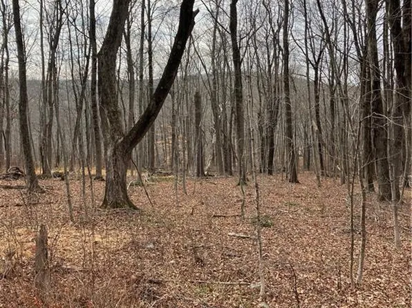 0 Carter Road, Kent, CT 06757