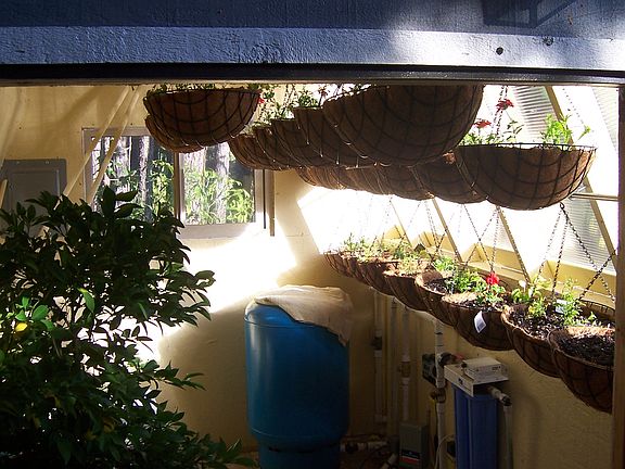 Inside Greenhouse