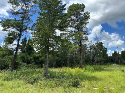 16308 & 16322 NE 154th Ln #4, Fort Mc Coy, FL, 32134