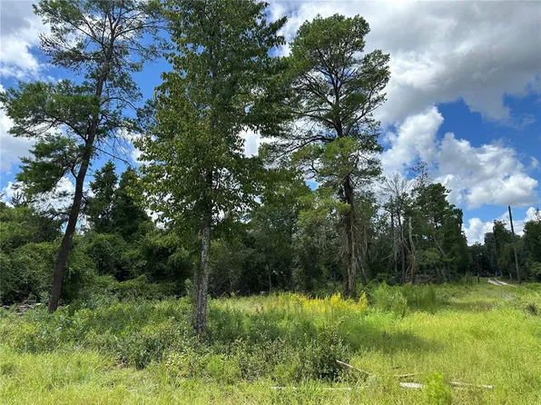 16308 & 16322 NE 154th Ln #4, Fort Mc Coy, FL 32134
