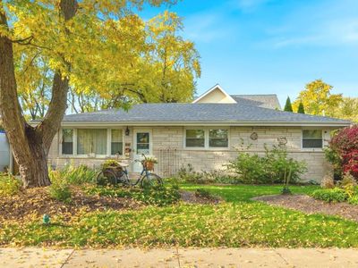 971 E Capri Dr, Palatine, IL, 60074