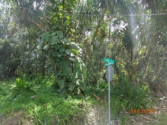 2nd image of Oio St Lot 1483