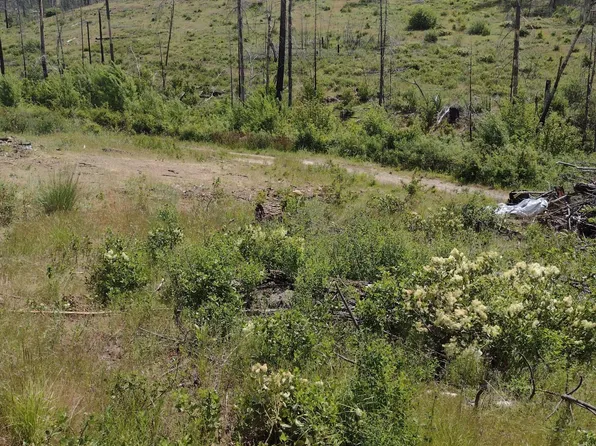 5067 Rail Canyon Rd, Springdale, WA 99173