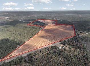 0 State Highway 41, Shellman, GA 39886