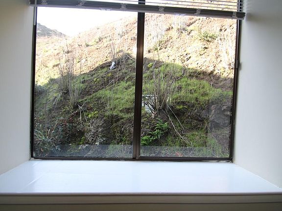 5th image of 135 Gardenside Dr APT 113