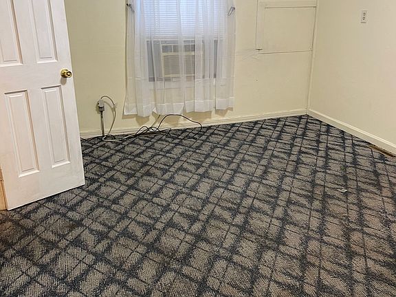 Freshly cleaned carpet