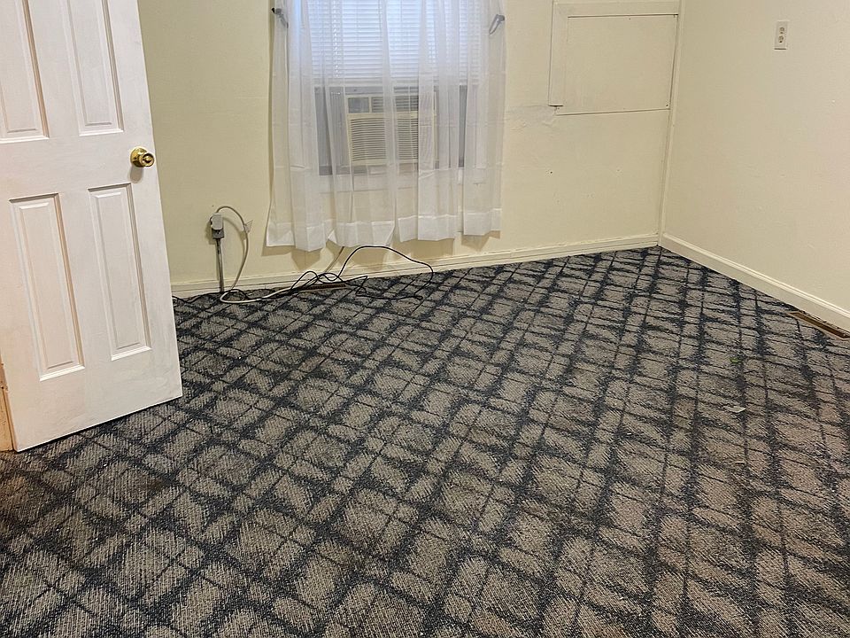 Freshly cleaned carpet