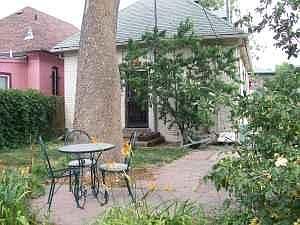 Back yard