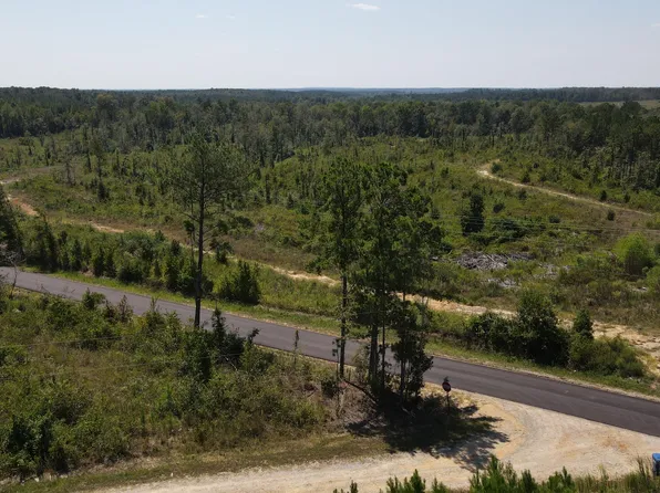 County Road 33, Heidelberg, MS 39439