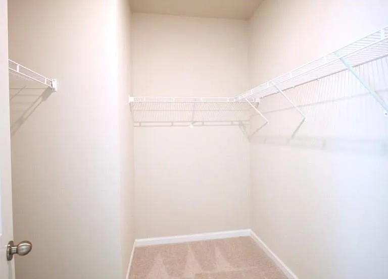 2237 Pink Hawthorn Dr — Photo 20